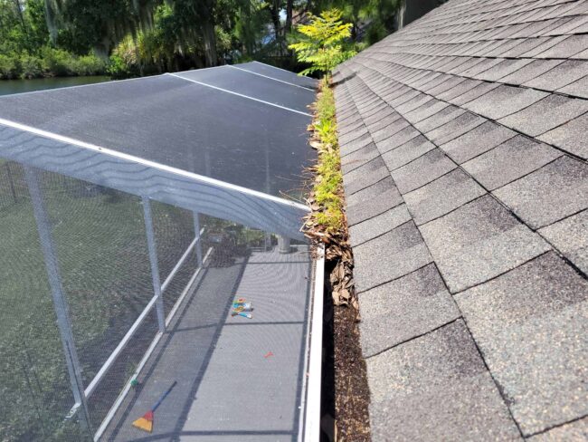 gutter system cleaning